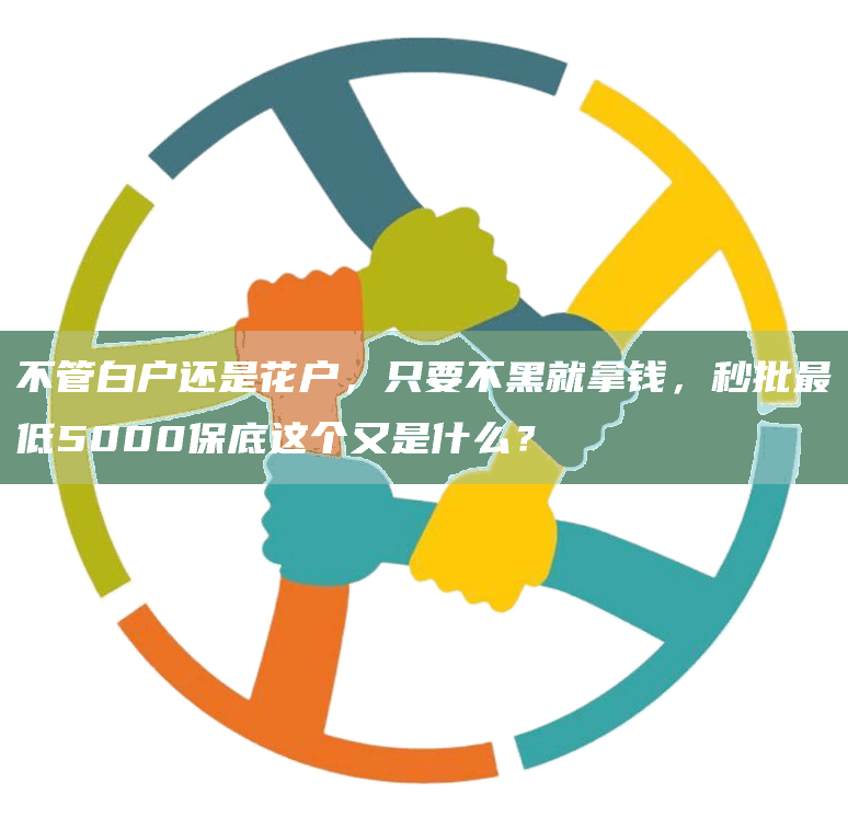 不管白户还是花户，只要不黑就拿钱，秒批*低5000保底这个又是什么？