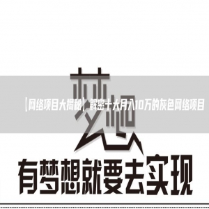 【网络项目大揭秘】解密十大月入10万的灰色网络项目