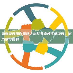 网赚项目操作思路之小红书卖养生茶项目，低成本可复制