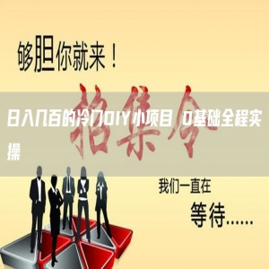 日入几百的冷门DIY小项目 0基础全程实操